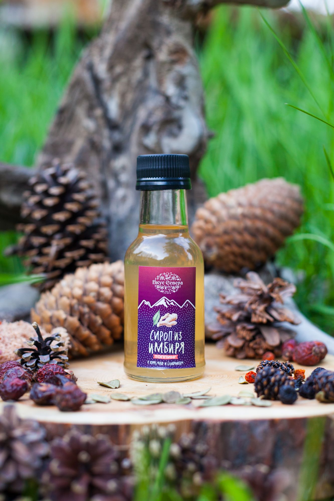 Сироп из имбиря 95 мл.